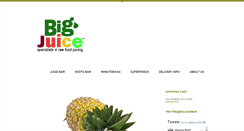 Desktop Screenshot of bigjuiceltd.com
