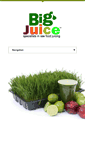 Mobile Screenshot of bigjuiceltd.com